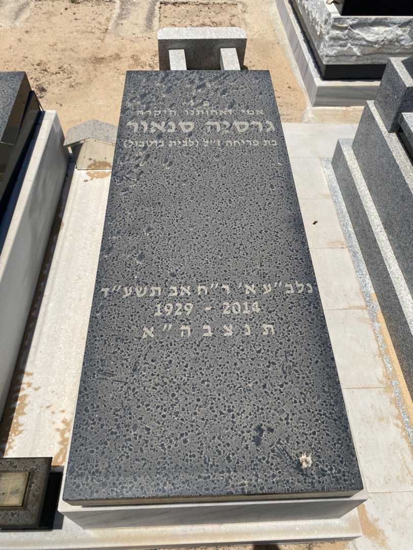 קברו של גרסיה סנאור. תמונה 2