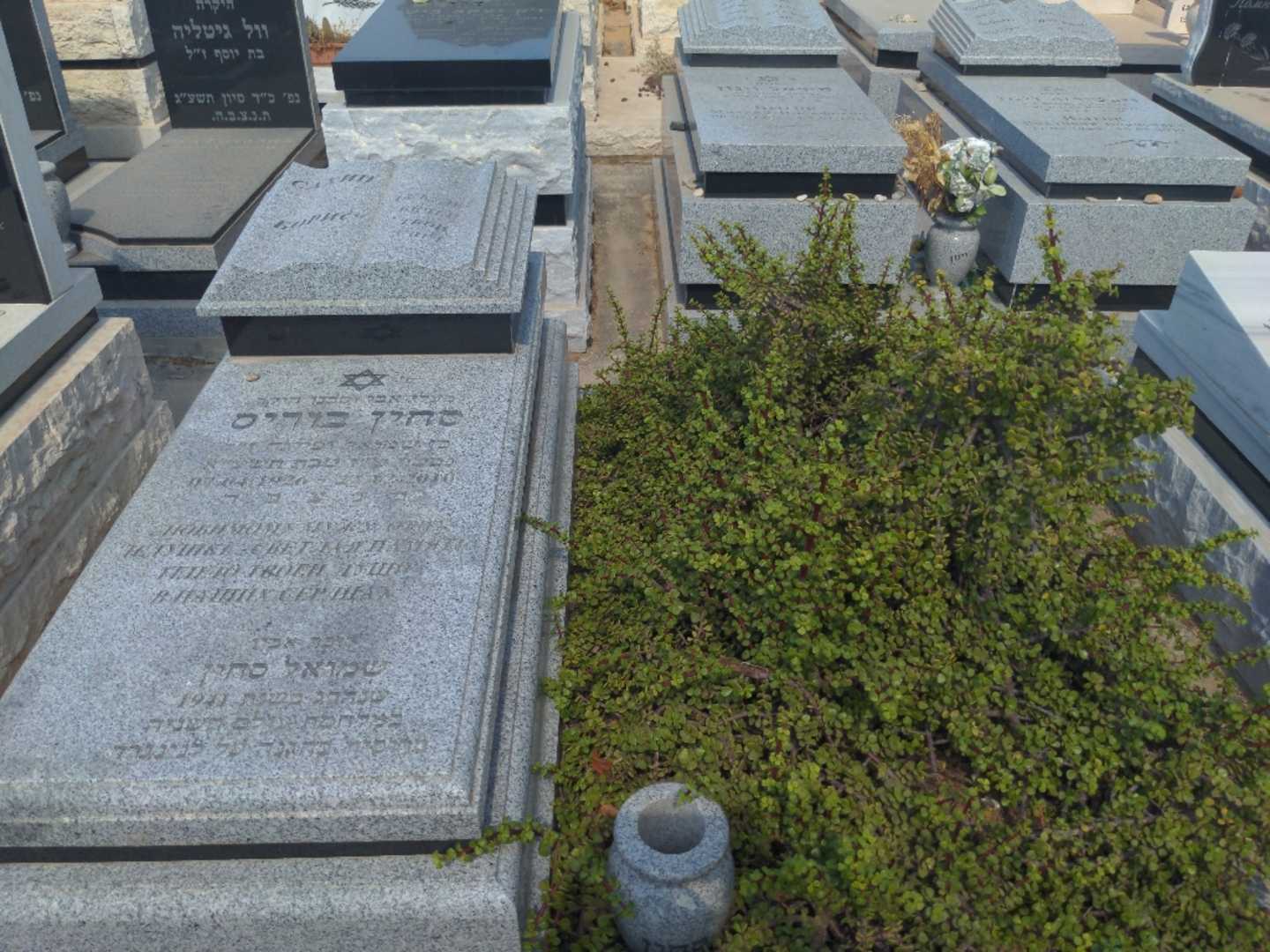 קברו של בוריס סחין. תמונה 1