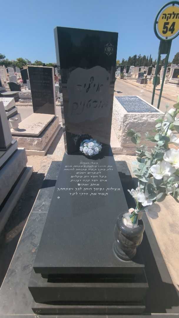 קברו של איליה בורטניק. תמונה 2
