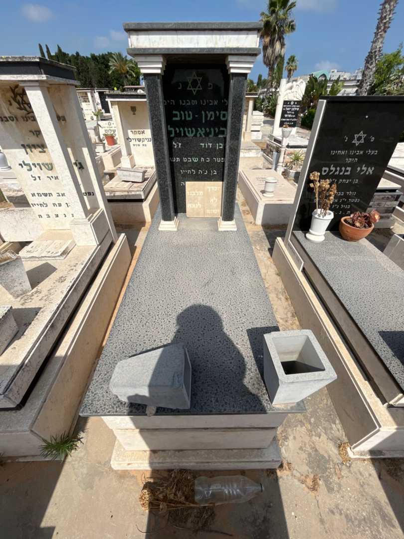 קברו של סימן-טוב ביניאשביל. תמונה 1