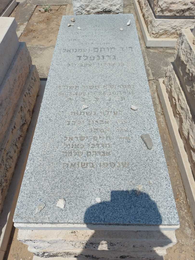 קברו של עמנואל "עמנואל" גרינפלד. תמונה 1