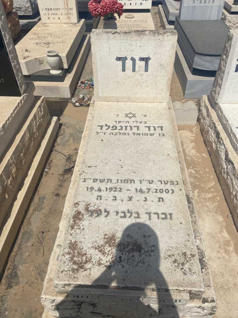 קברו של דוד רוזנפלד. תמונה 1