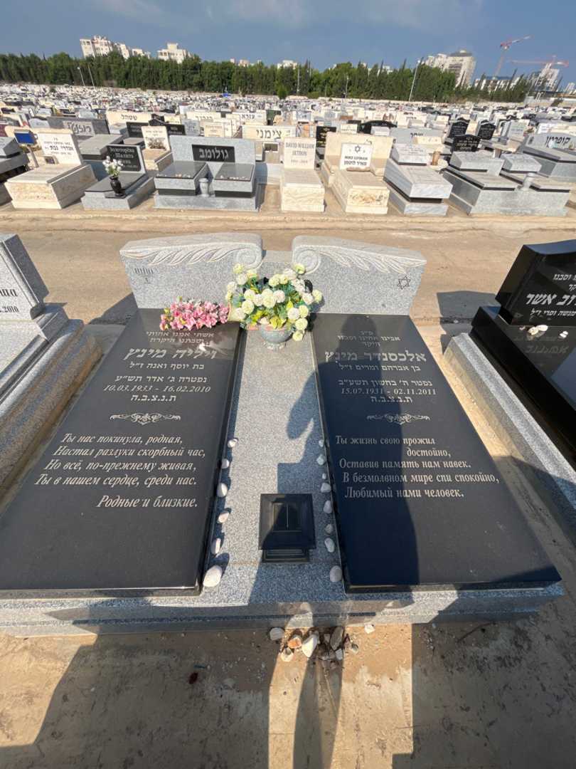 קברו של אלכסנדר מינץ. תמונה 1