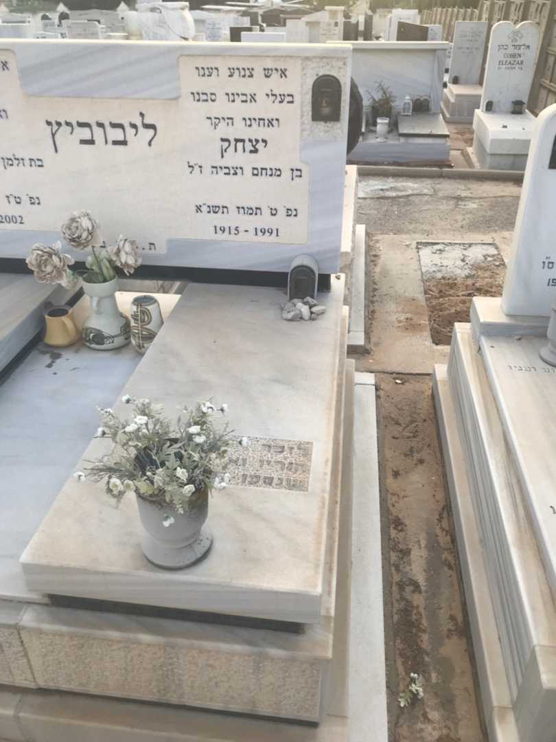 קברו של יצחק ליבוביץ. תמונה 2