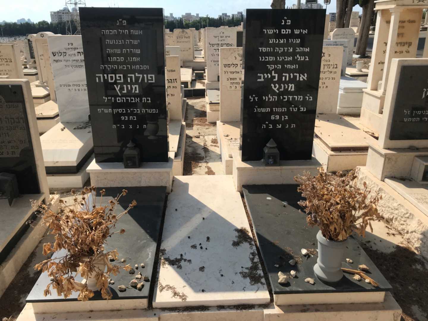 קברו של אריה לייב מינץ. תמונה 1