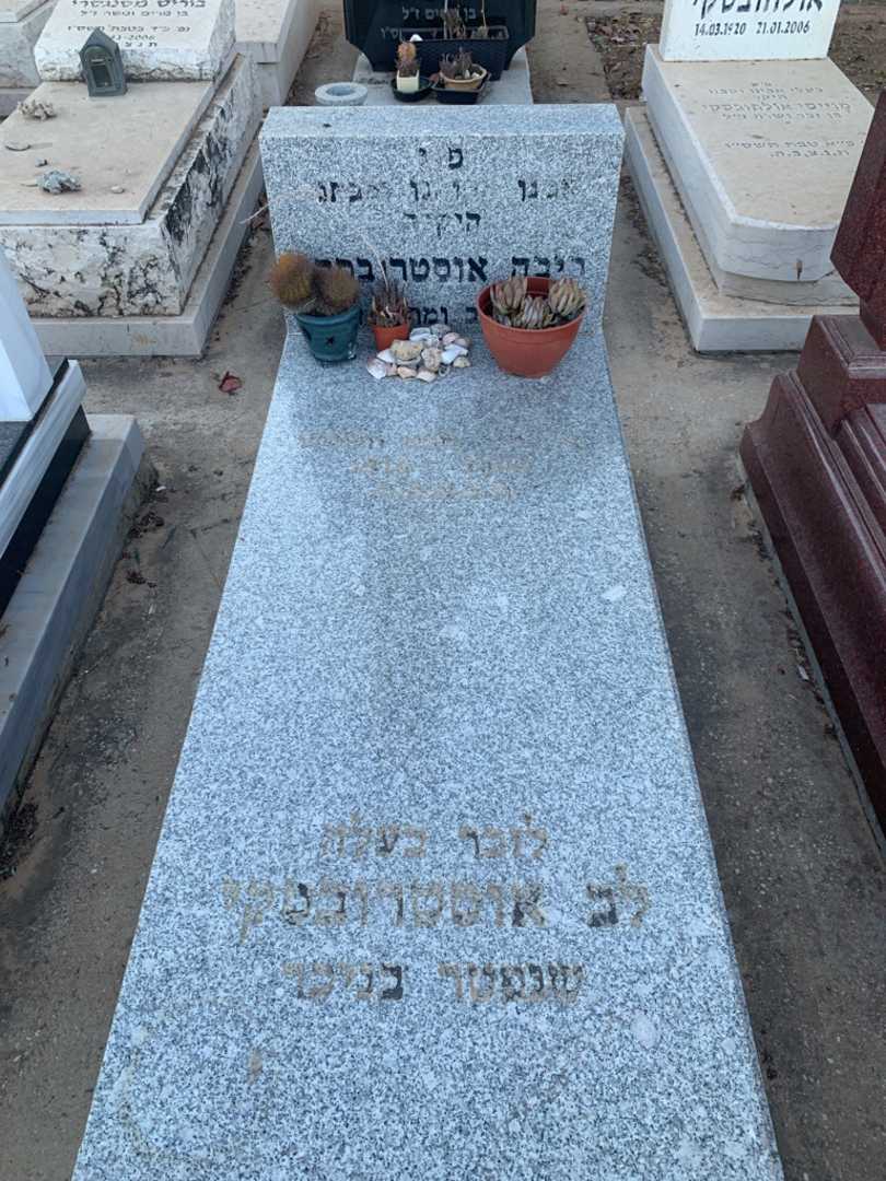 קברו של ריבה אוסטרובסקי. תמונה 1