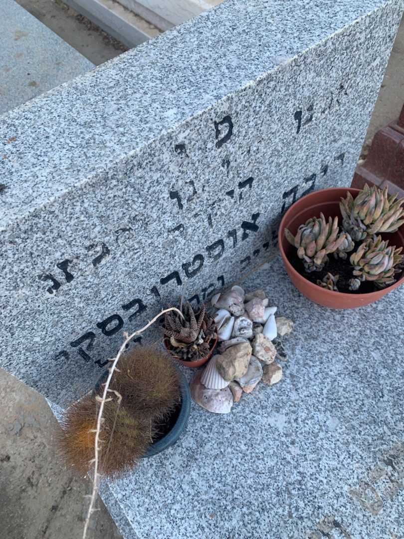 קברו של ריבה אוסטרובסקי. תמונה 2