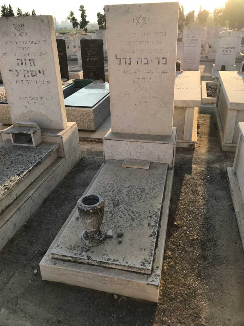 קברו של פריבה נדל