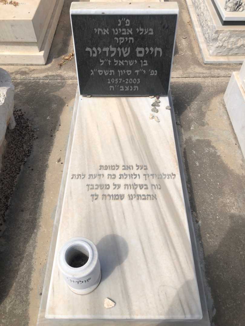 קברו של חיים שולדינר