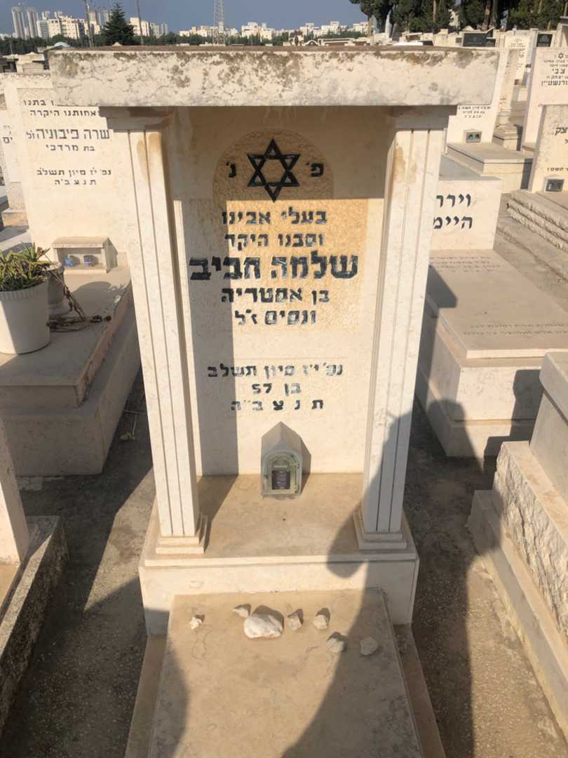 קברו של שלמה חביב