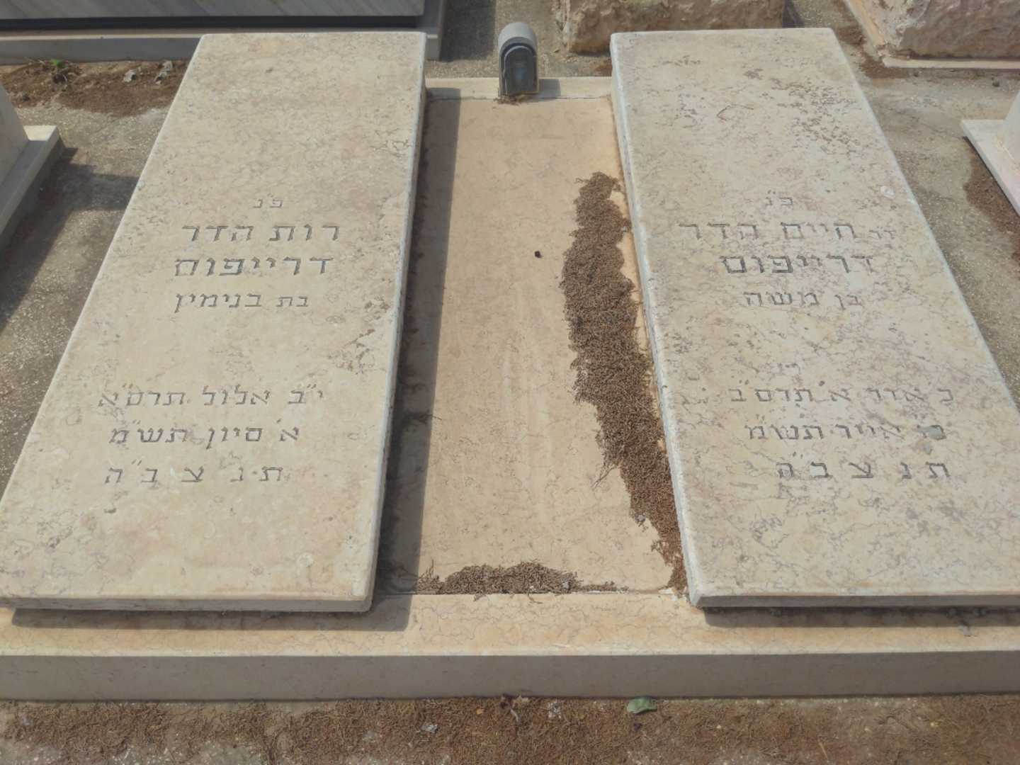 קברו של רות הדר דרייפוס. תמונה 1