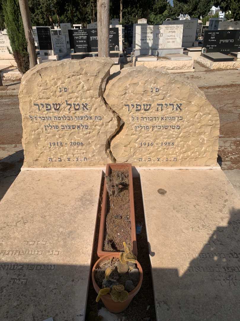 קברו של אריה שפיר. תמונה 1