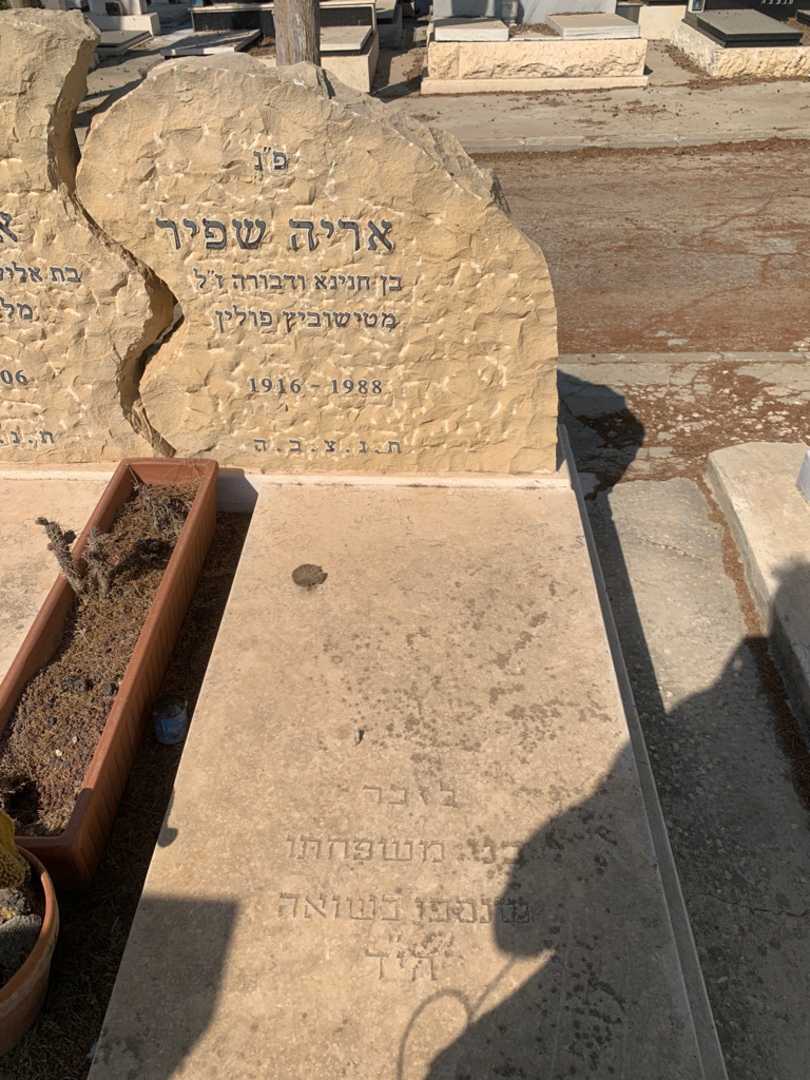 קברו של אריה שפיר. תמונה 2