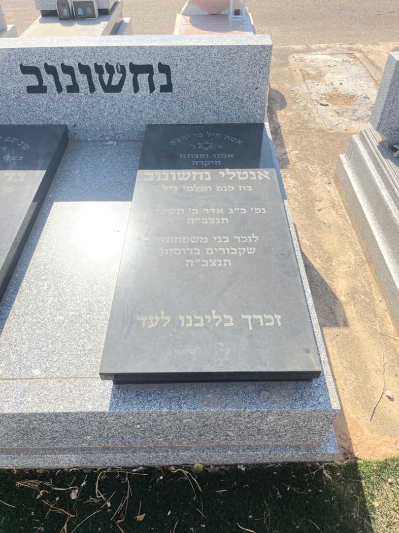 קברו של אנטולי נחשונוב. תמונה 1