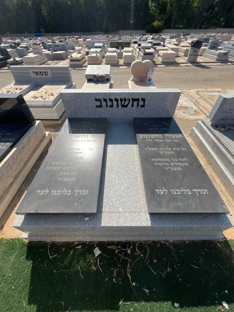 קברו של אנטולי נחשונוב. תמונה 2