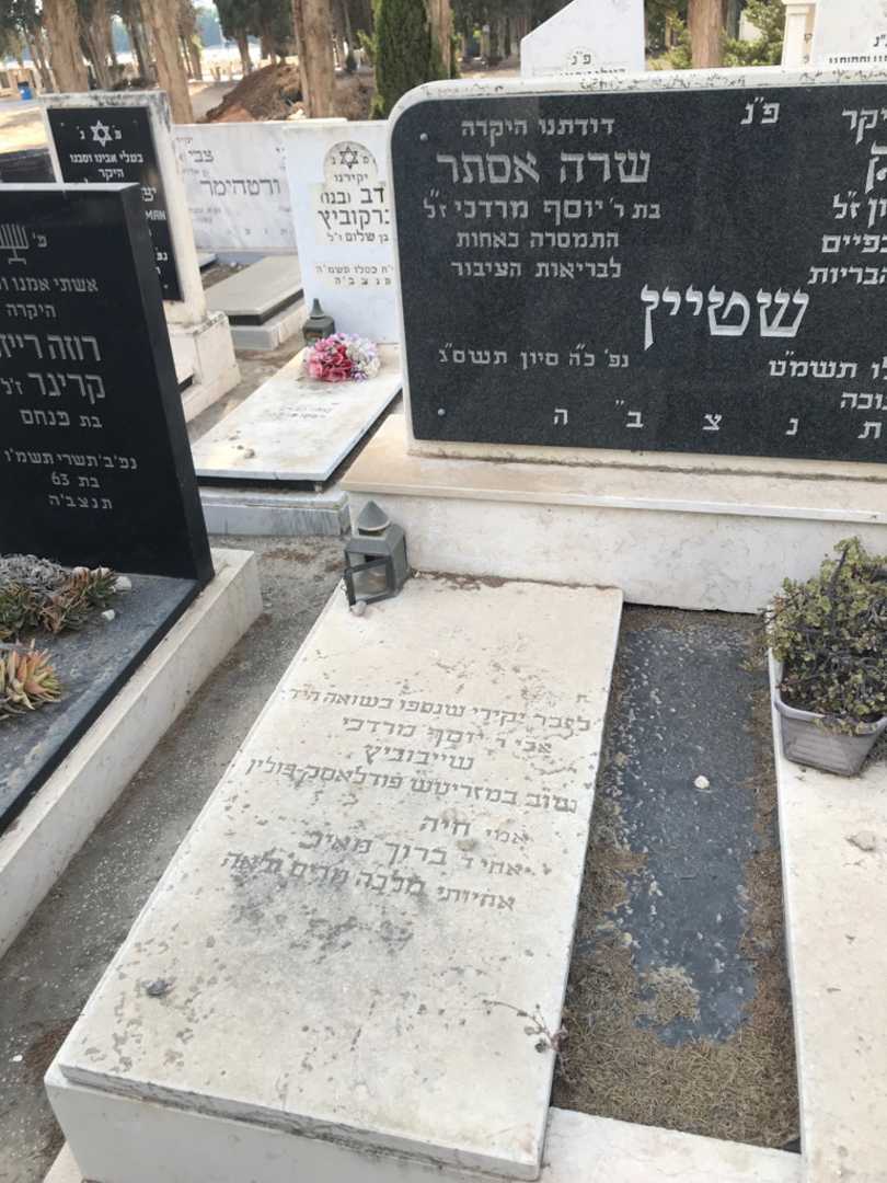 קברו של שרה אסתר שטיין. תמונה 2