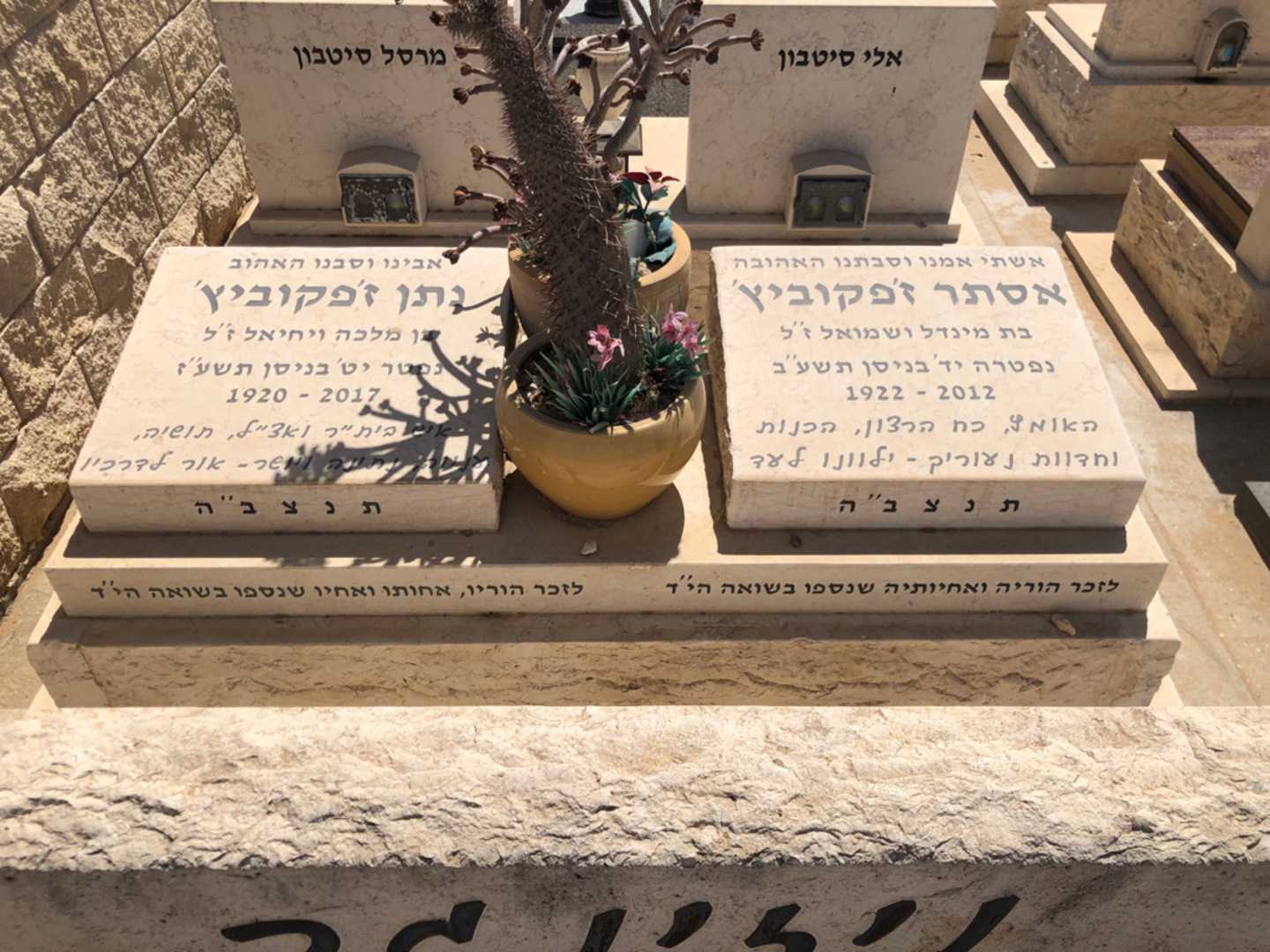 קברו של אסתר ז׳פקוביץ׳. תמונה 2