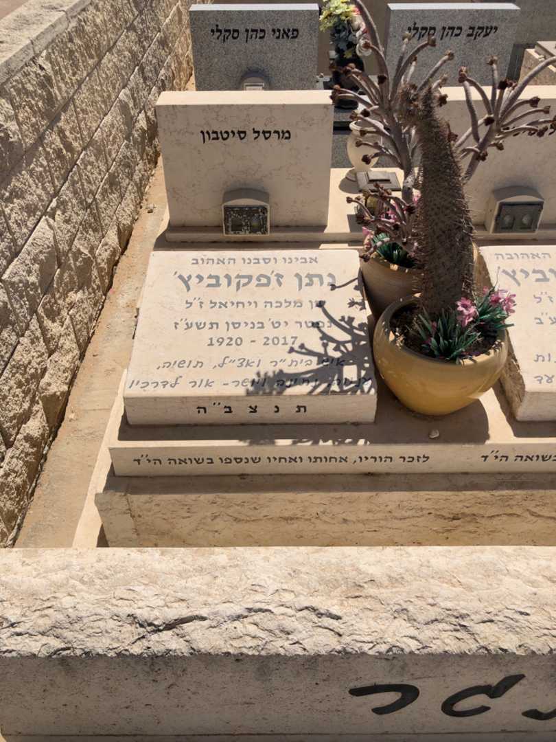 קברו של נתן ז׳פקוביץ׳. תמונה 1