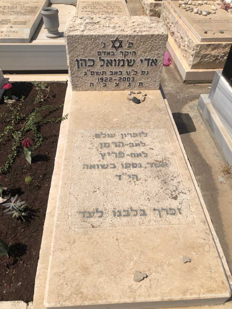 קברו של אדי שמואל כהן. תמונה 1