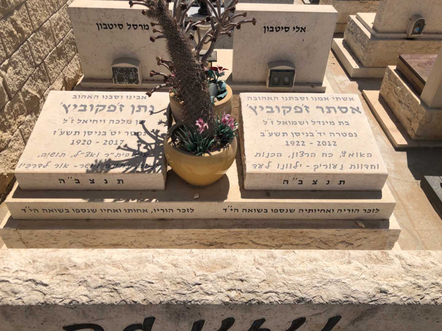 קברו של נתן ז׳פקוביץ׳. תמונה 2