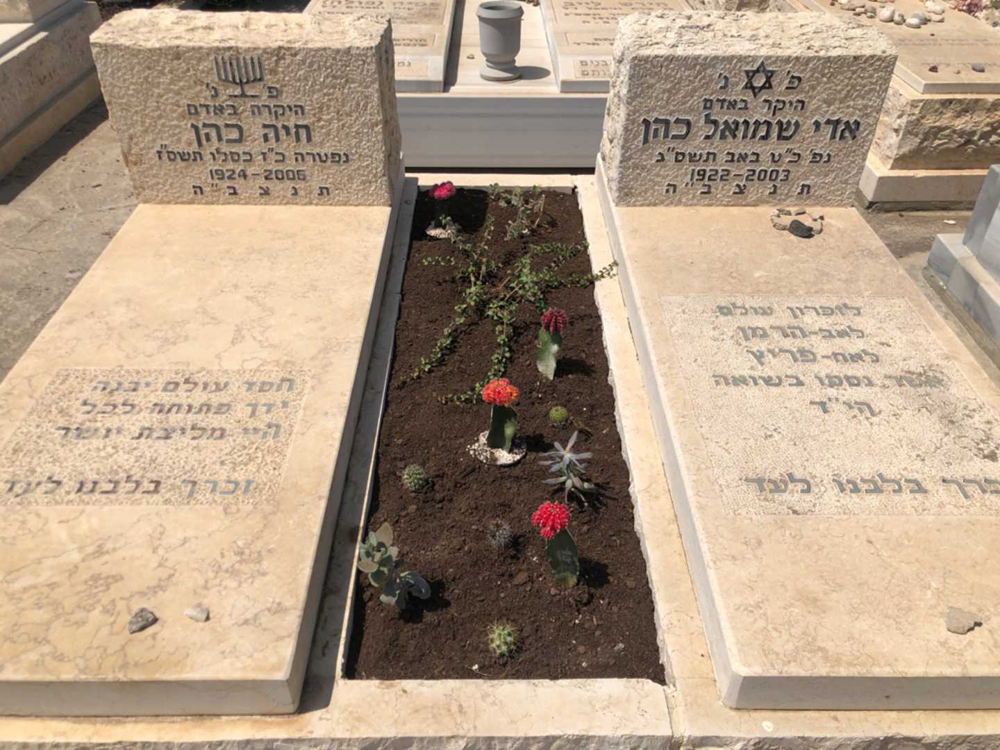 קברו של אדי שמואל כהן. תמונה 2