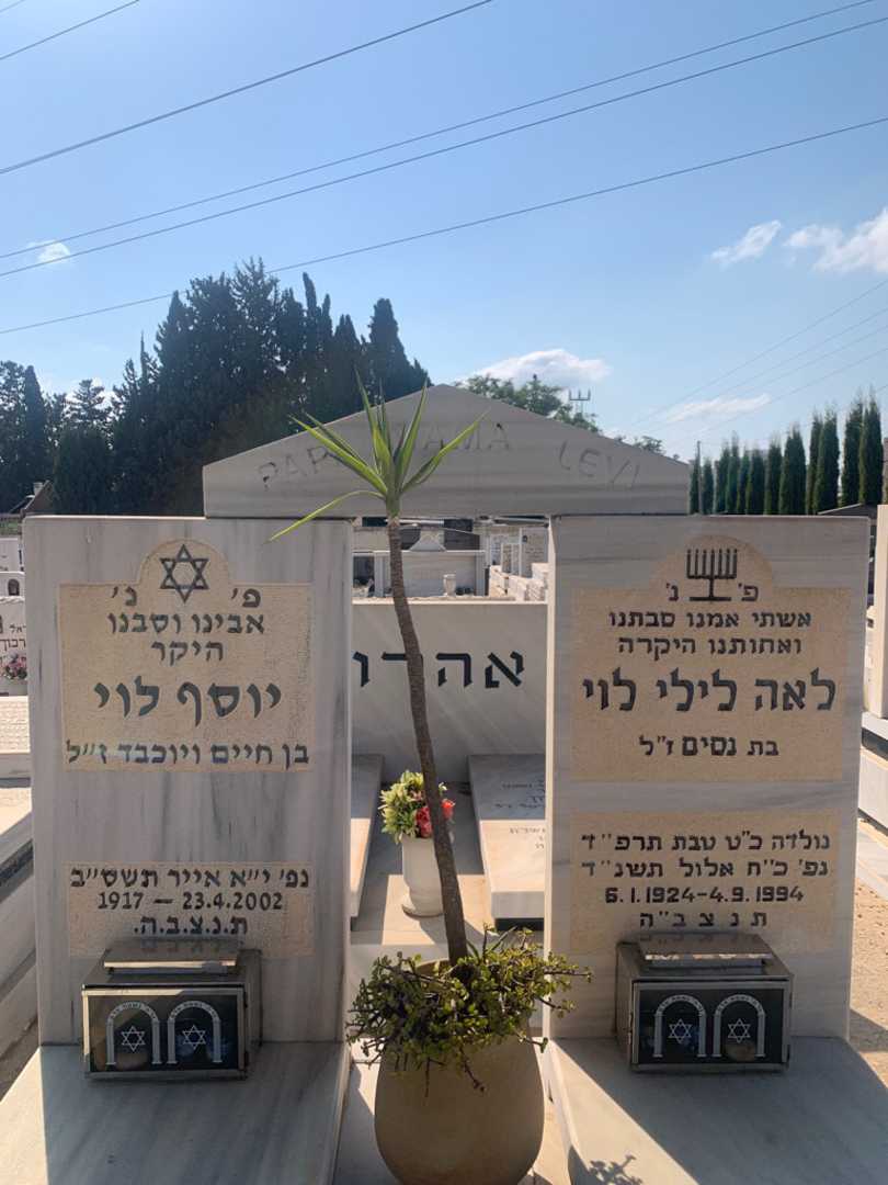 קברו של לאה לילי לוי. תמונה 1