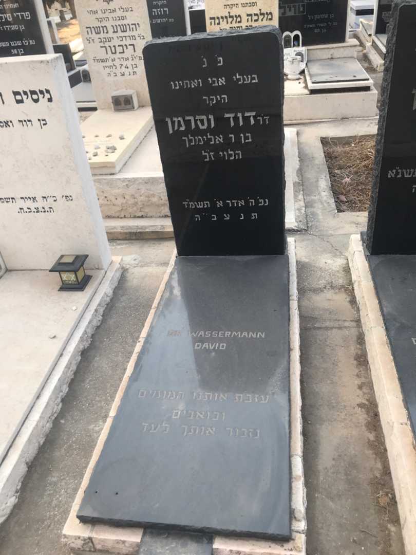 קברו של דוד וסרמן