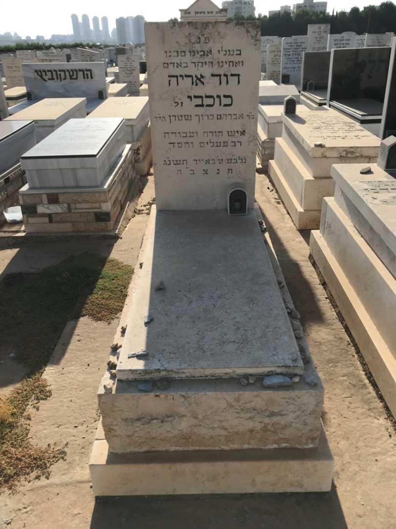 קברו של דוד אריה כוכבי