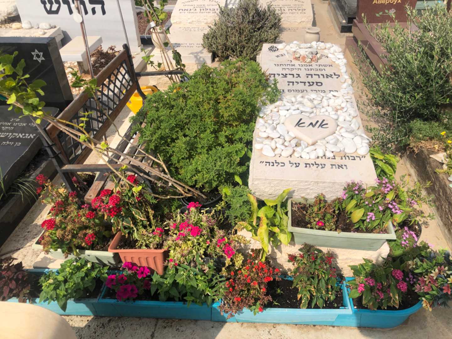 קברו של לאורה  גרציה סעדיה. תמונה 2