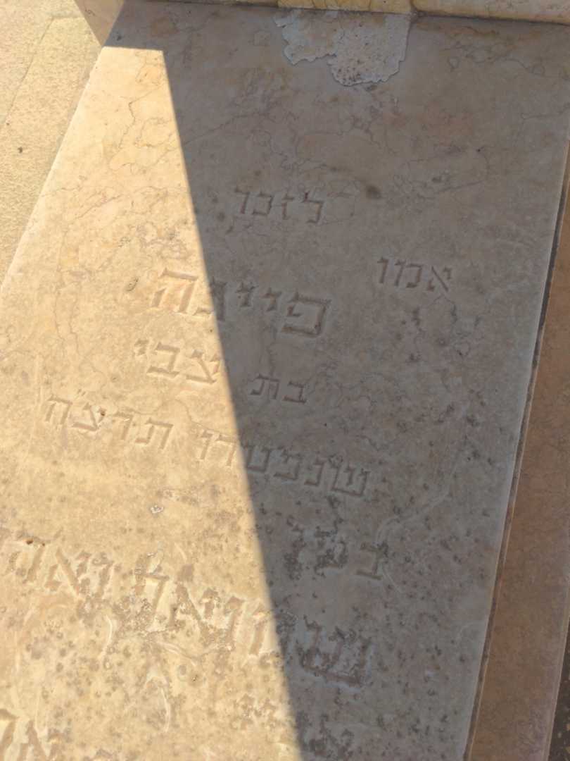 קברו של משה פרנץ. תמונה 3