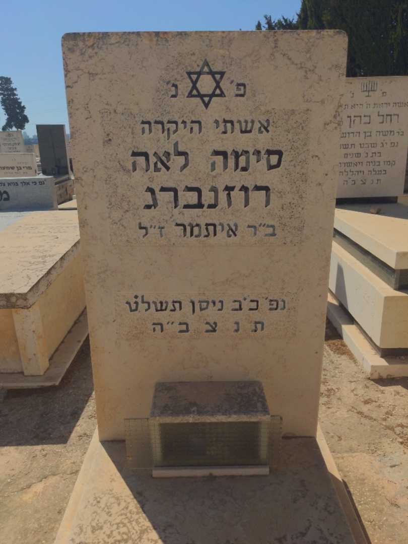קברו של סימה לאה רוזנברג