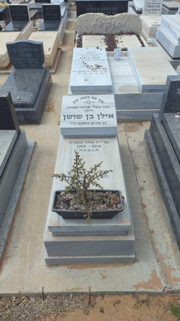 קברו של אילן בן שושן