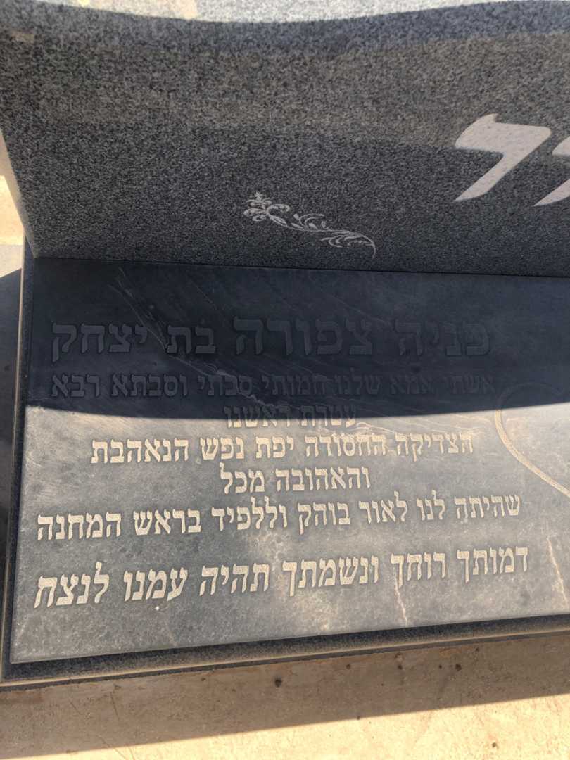 קברו של פניה צפורה שולדר. תמונה 2