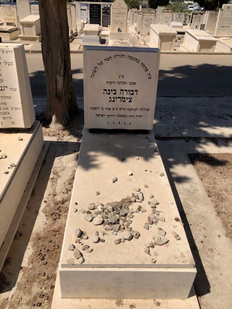 קברו של דבורה בינה צימרינג. תמונה 1