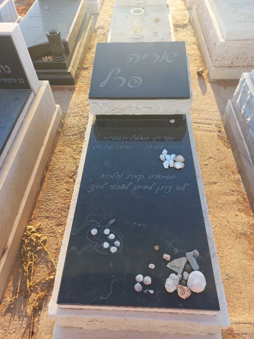קברו של אריה פרל