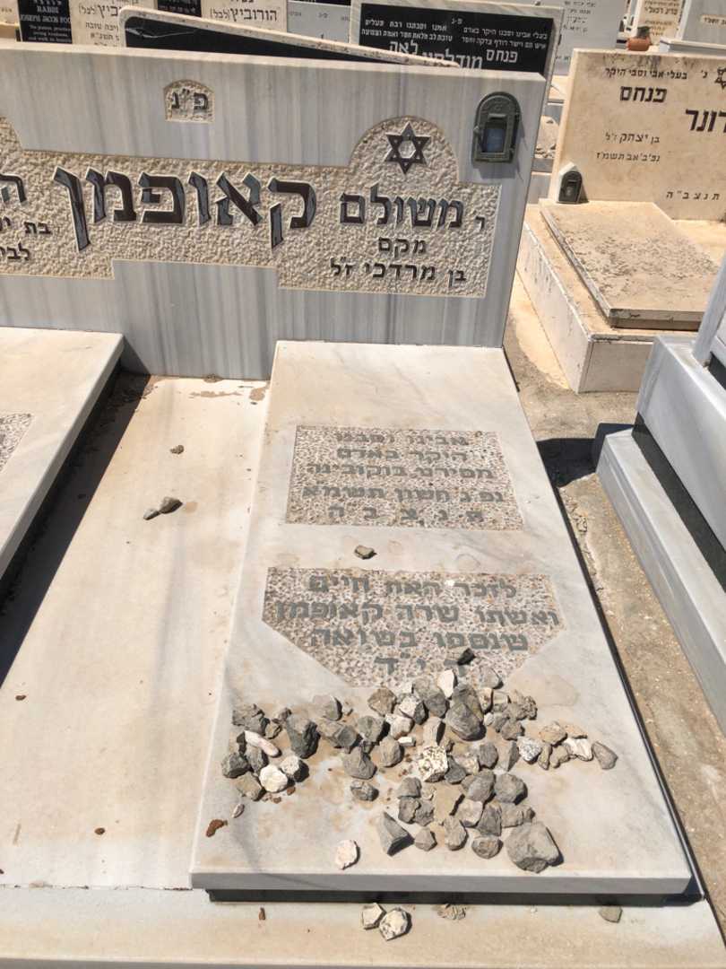 קברו של שרה קאופמן. תמונה 1