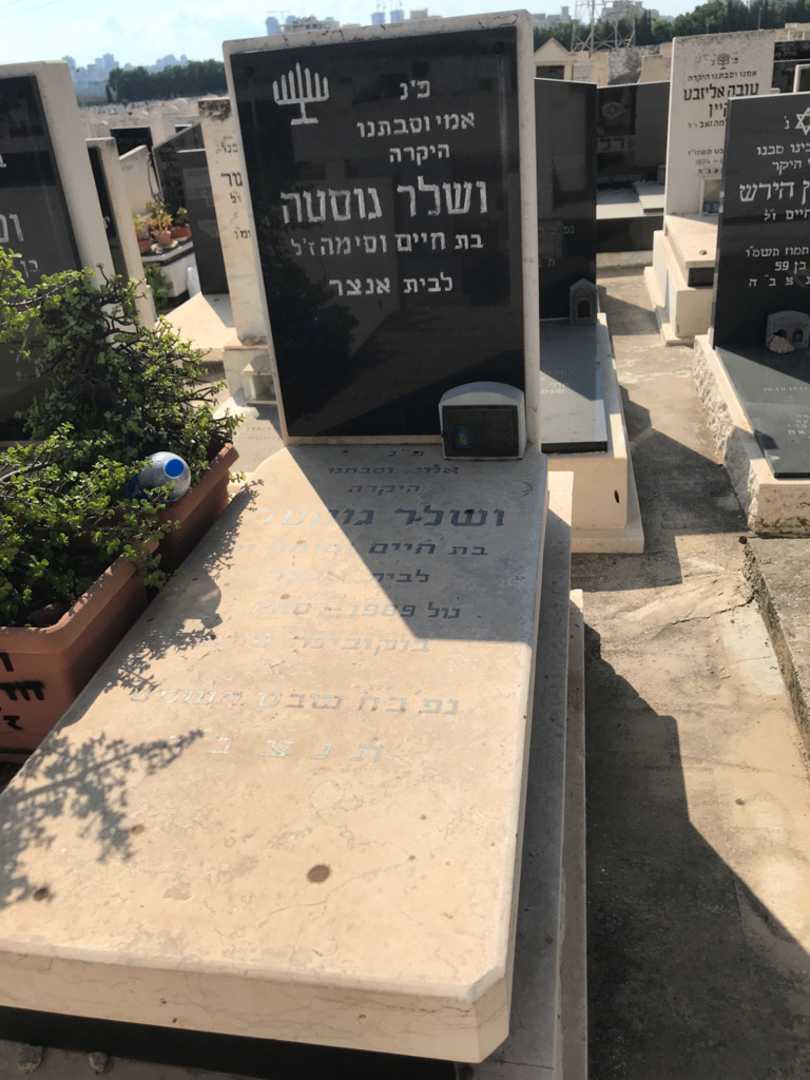 קברו של גוסטה ושלר. תמונה 2