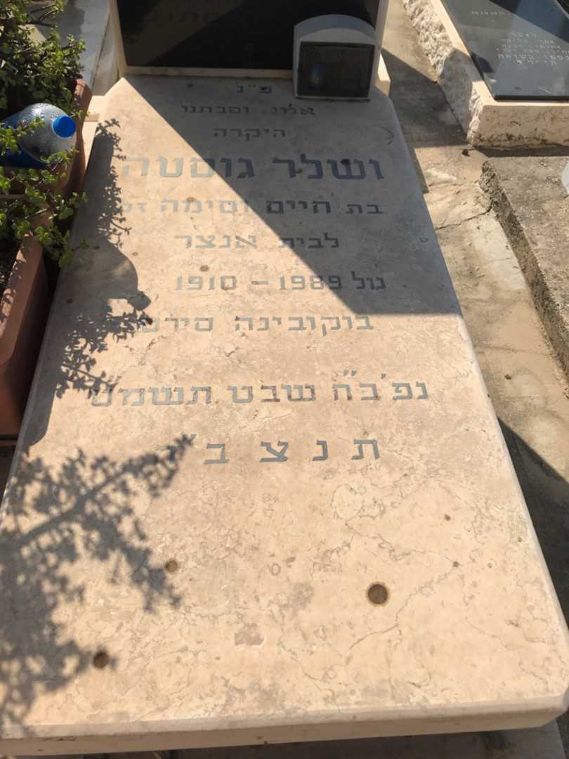 קברו של גוסטה ושלר. תמונה 3