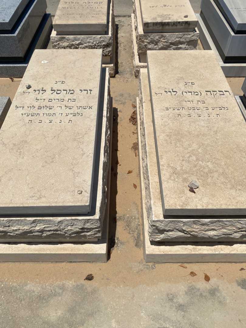 קברו של זרי מרסל לוי. תמונה 1