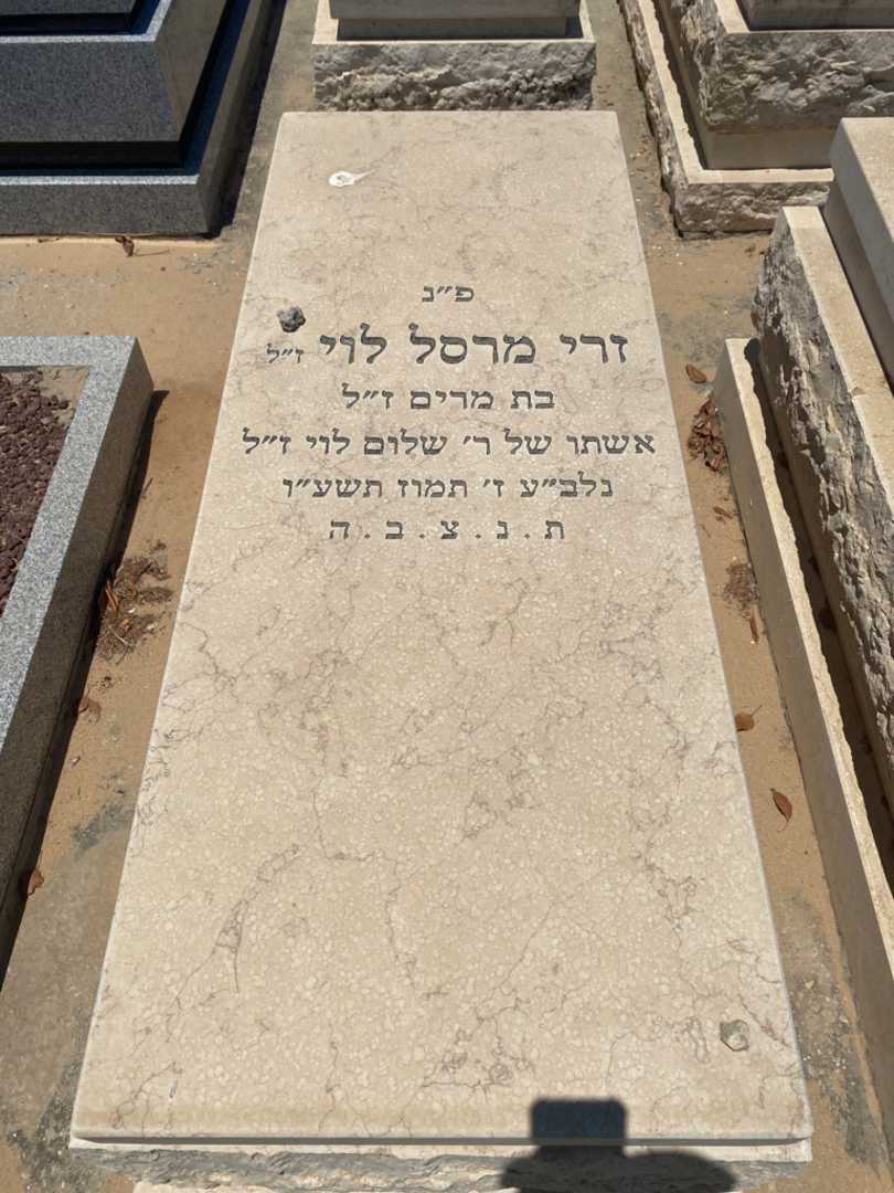 קברו של זרי מרסל לוי. תמונה 2