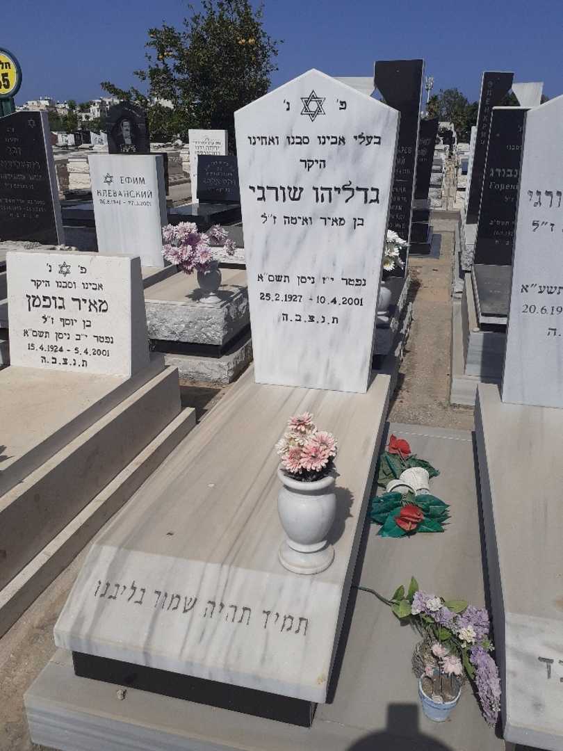 קברו של גדליה שורגי. תמונה 1