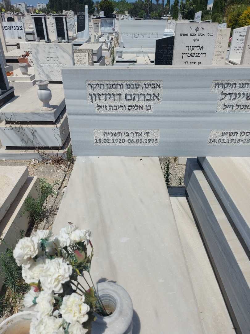 קברו של אברהם דוידזון. תמונה 1