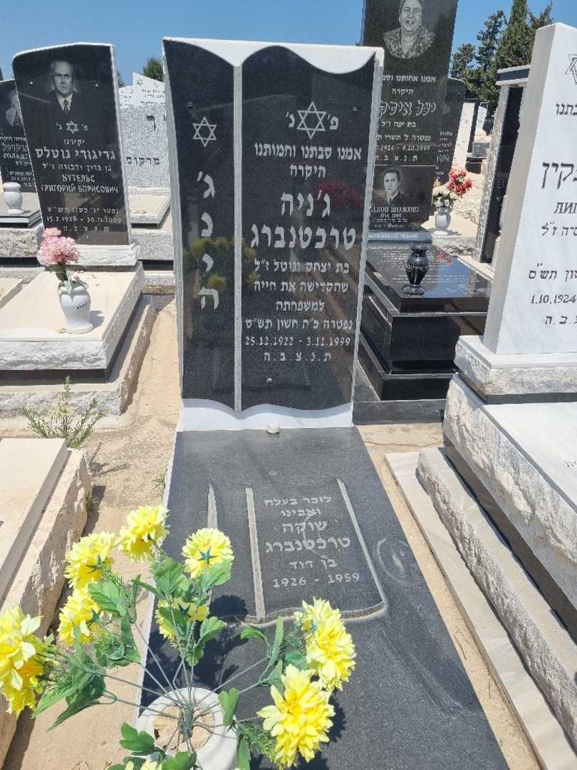 קברו של גניה טרכטנברג. תמונה 1