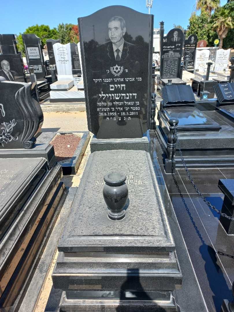 קברו של חיים דזנהשווילי. תמונה 1