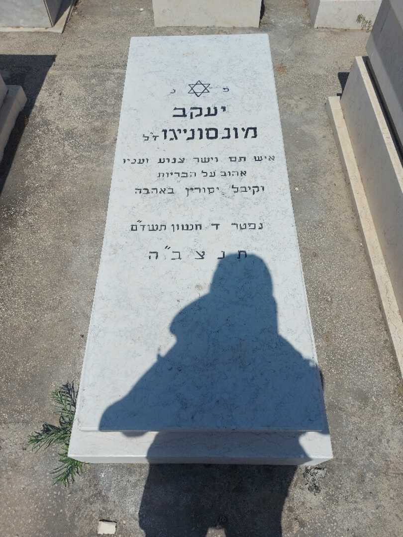 קברו של יעקב מונסוניגו. תמונה 1