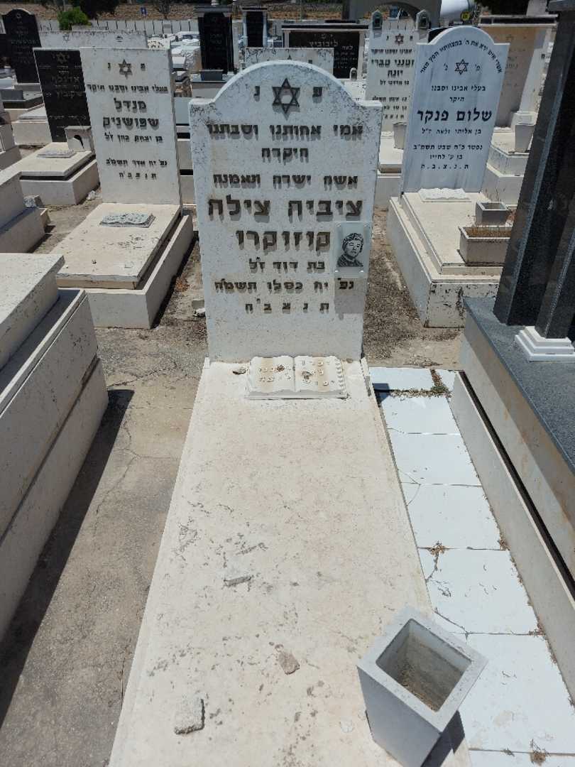 קברו של צביה קוזוקרו. תמונה 1