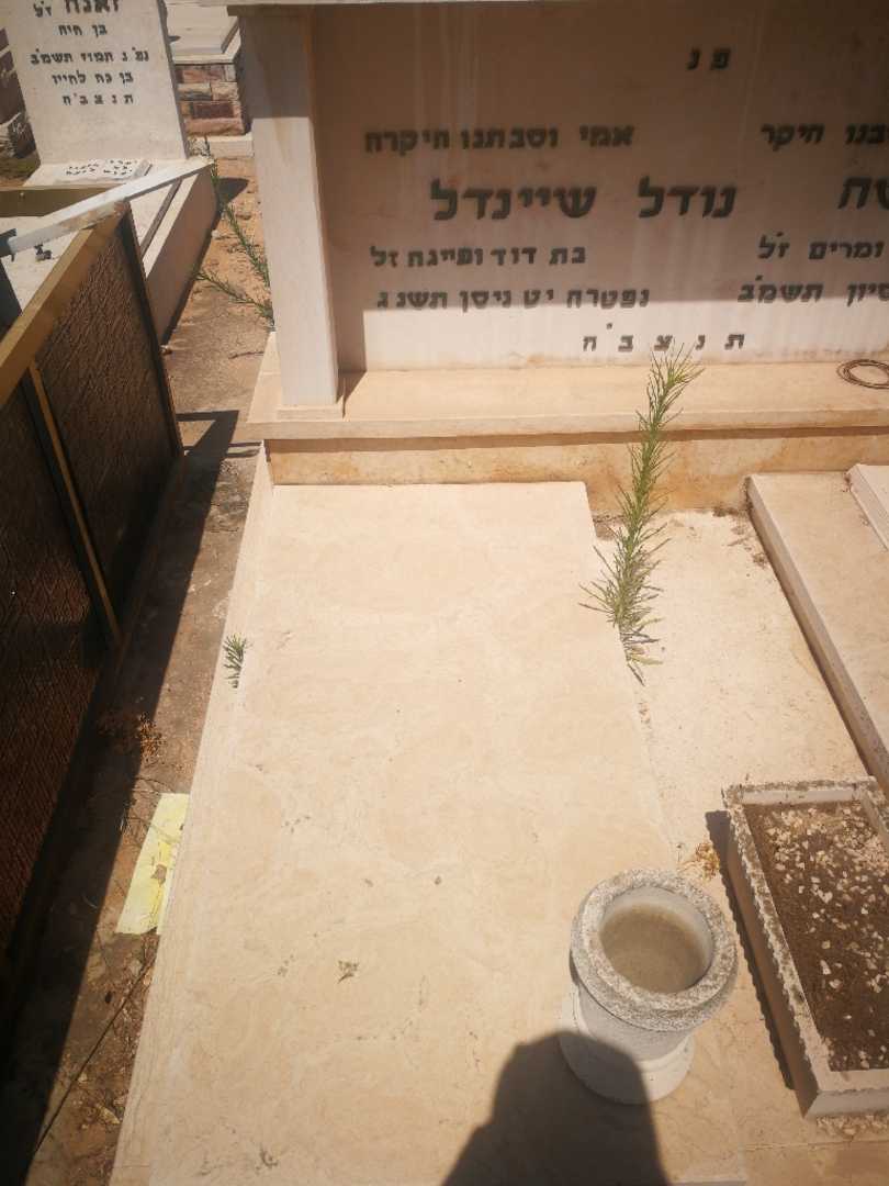 קברו של שיינדל נודל. תמונה 2