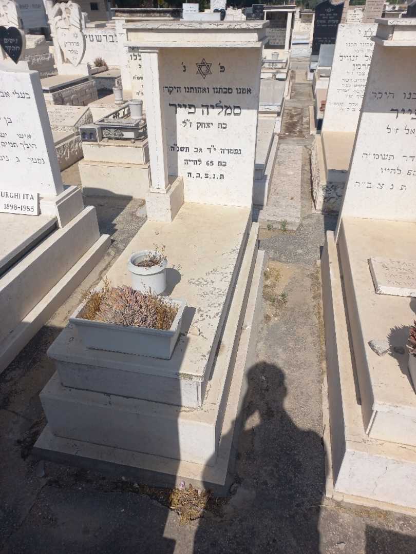קברו של סמליה פייר. תמונה 1