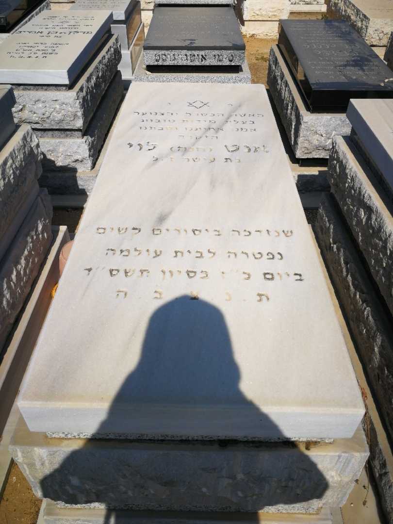 קברו של אנט "חנה" לוי. תמונה 1