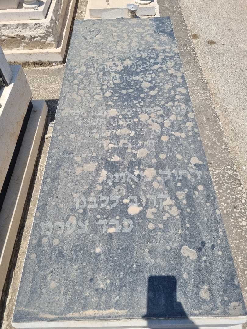 קברו של שלמה כהן. תמונה 1